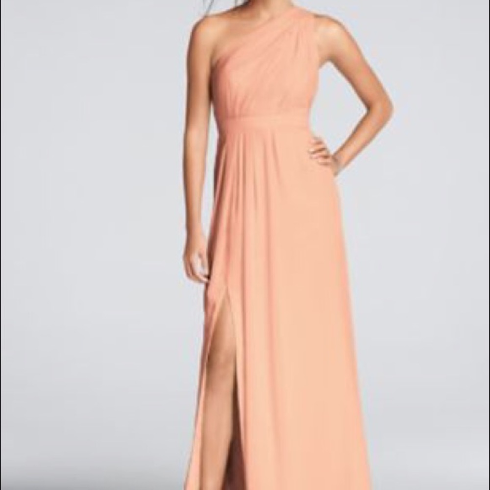 David’s Bridal Bridesmaids Dress